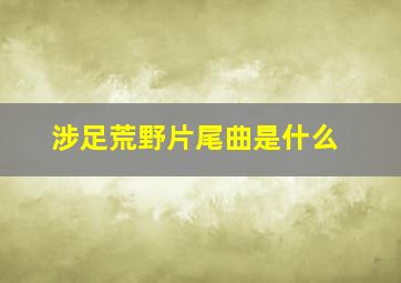 涉足荒野片尾曲是什么