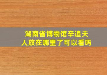 湖南省博物馆辛追夫人放在哪里了可以看吗