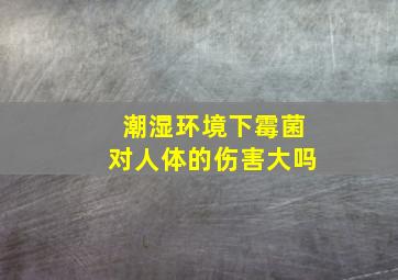 潮湿环境下霉菌对人体的伤害大吗