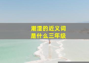 潮湿的近义词是什么三年级