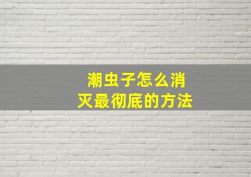 潮虫子怎么消灭最彻底的方法