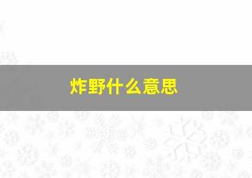 炸野什么意思