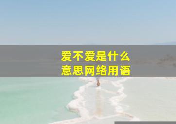 爱不爱是什么意思网络用语