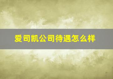 爱司凯公司待遇怎么样