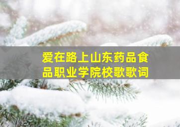 爱在路上山东药品食品职业学院校歌歌词