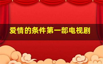 爱情的条件第一部电视剧