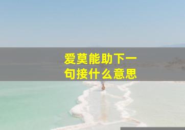 爱莫能助下一句接什么意思