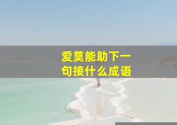 爱莫能助下一句接什么成语