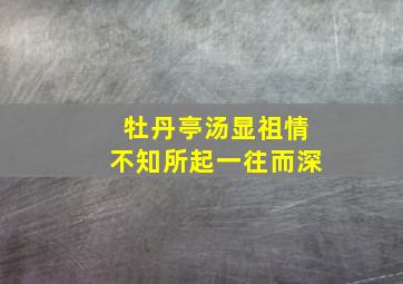 牡丹亭汤显祖情不知所起一往而深