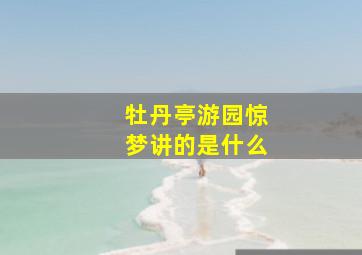 牡丹亭游园惊梦讲的是什么