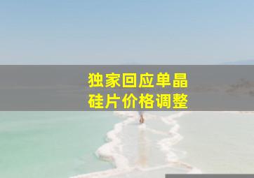 独家回应单晶硅片价格调整