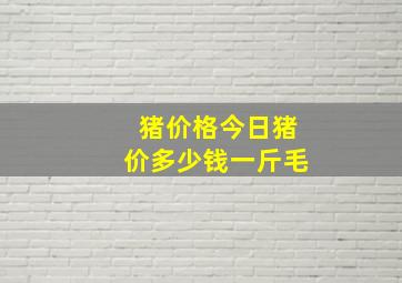 猪价格今日猪价多少钱一斤毛