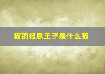 猫的报恩王子是什么猫