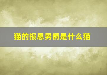 猫的报恩男爵是什么猫