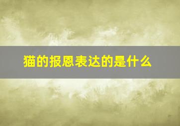 猫的报恩表达的是什么