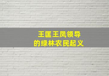 王匡王凤领导的绿林农民起义