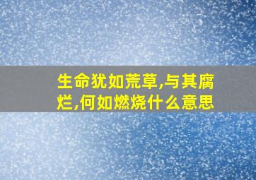 生命犹如荒草,与其腐烂,何如燃烧什么意思