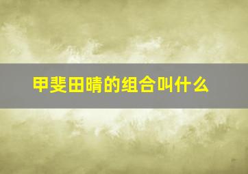 甲斐田晴的组合叫什么