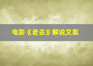 电影《老去》解说文案