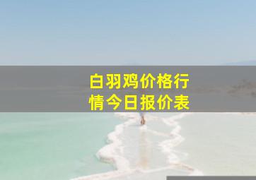 白羽鸡价格行情今日报价表