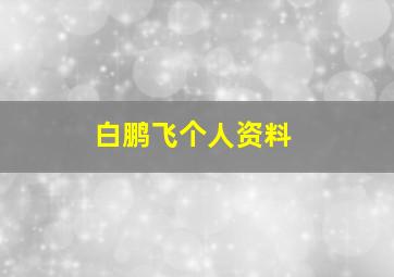 白鹏飞个人资料