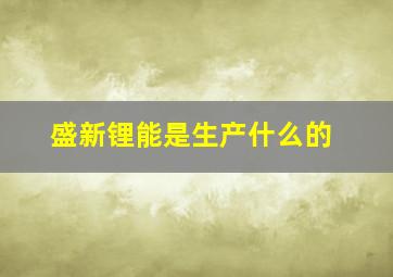 盛新锂能是生产什么的