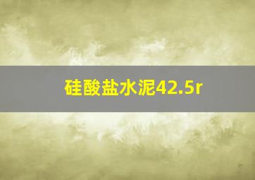 硅酸盐水泥42.5r