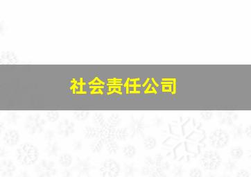 社会责任公司