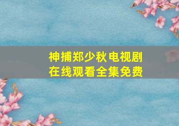 神捕郑少秋电视剧在线观看全集免费