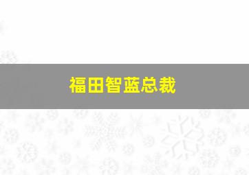 福田智蓝总裁