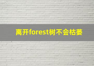 离开forest树不会枯萎