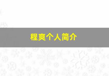 程爽个人简介