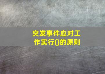 突发事件应对工作实行()的原则