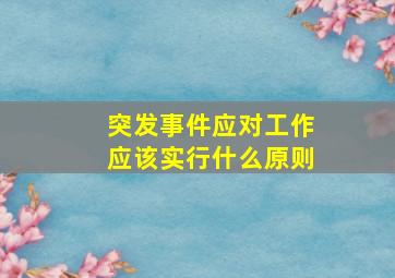 突发事件应对工作应该实行什么原则