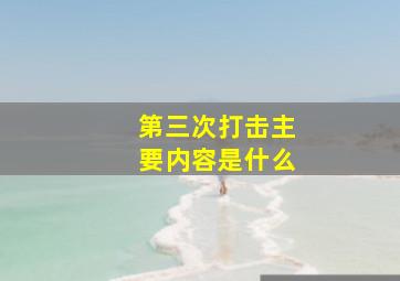 第三次打击主要内容是什么