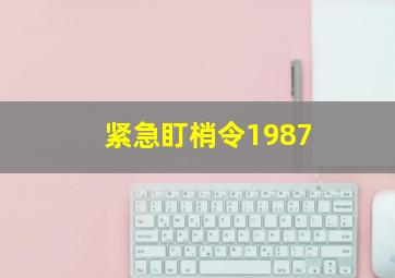 紧急盯梢令1987