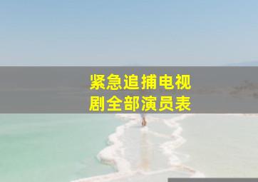 紧急追捕电视剧全部演员表