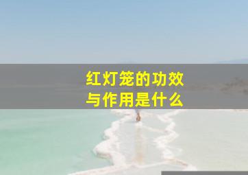 红灯笼的功效与作用是什么