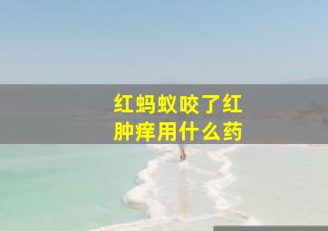 红蚂蚁咬了红肿痒用什么药