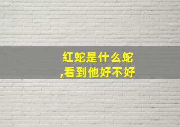 红蛇是什么蛇,看到他好不好