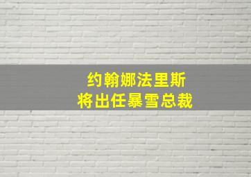 约翰娜法里斯将出任暴雪总裁