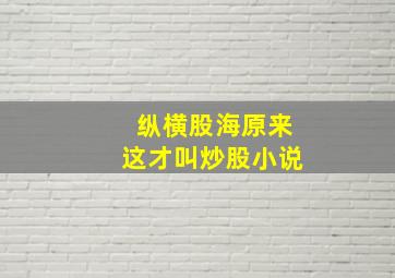 纵横股海原来这才叫炒股小说