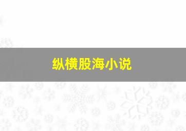 纵横股海小说