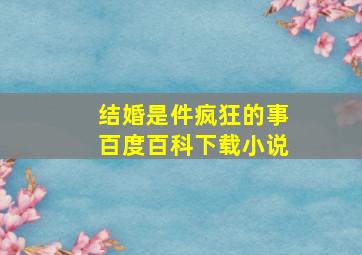 结婚是件疯狂的事百度百科下载小说