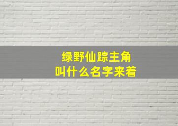 绿野仙踪主角叫什么名字来着