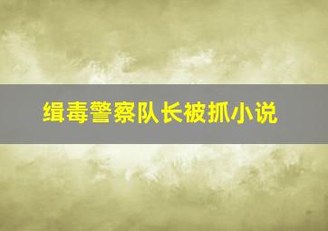 缉毒警察队长被抓小说