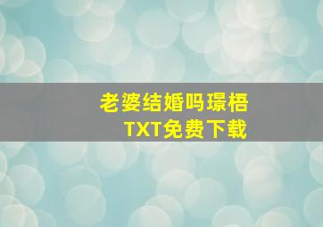 老婆结婚吗璟梧TXT免费下载