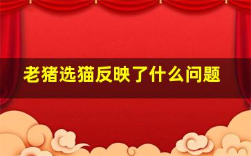 老猪选猫反映了什么问题