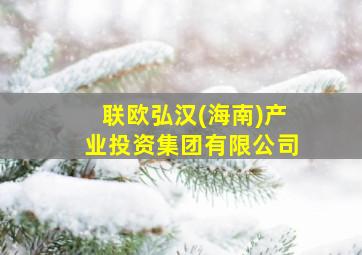 联欧弘汉(海南)产业投资集团有限公司