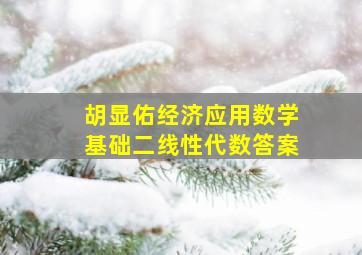 胡显佑经济应用数学基础二线性代数答案